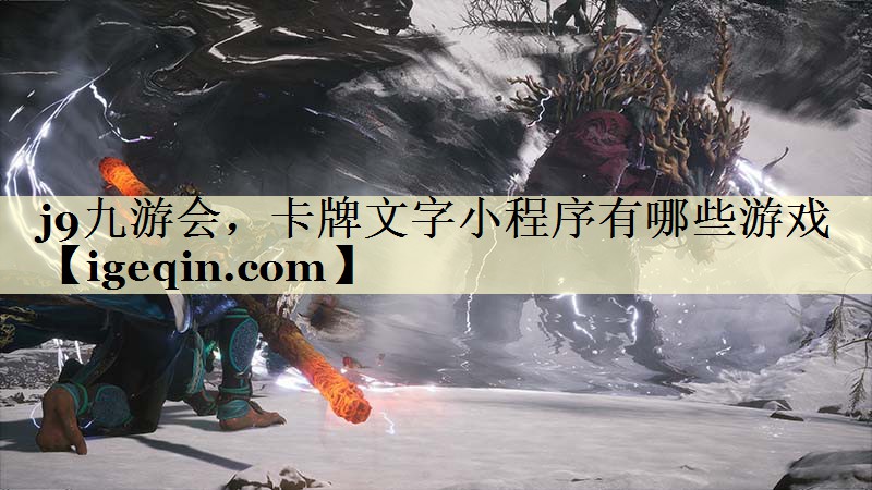 乐动·LDSports，卡牌文字小程序有哪些游戏